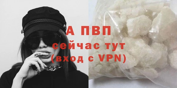 ALPHA PVP Белокуриха