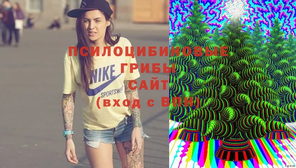 ALPHA PVP Белокуриха