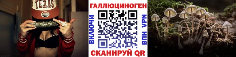 Купить  Сертолово  Псилоцибиновые грибы Psilocybine cubensis 